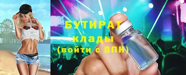 хмурый Аркадак