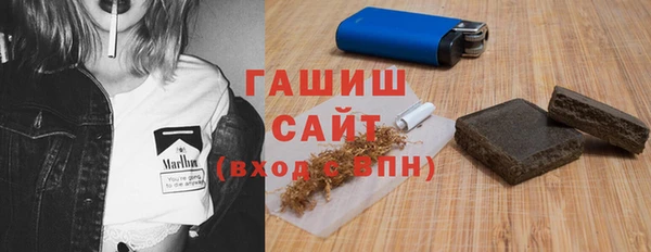 хмурый Аркадак