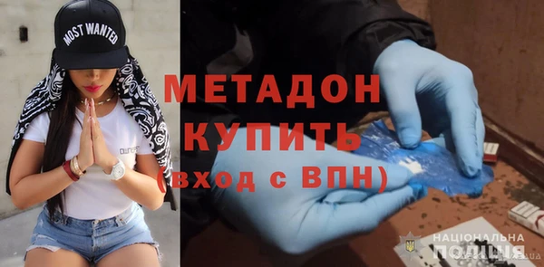 хмурый Аркадак