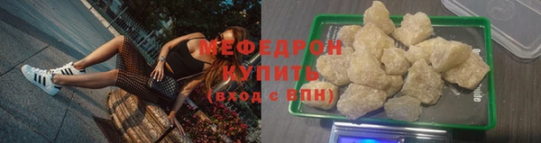 хмурый Аркадак