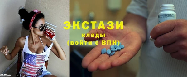 хмурый Аркадак