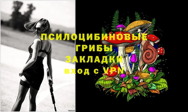 хмурый Аркадак