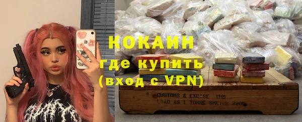 хмурый Аркадак