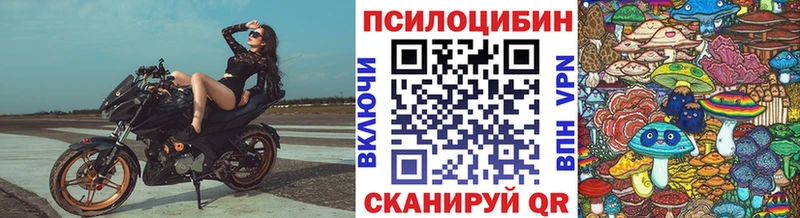 Галлюциногенные грибы GOLDEN TEACHER  Межгорье 